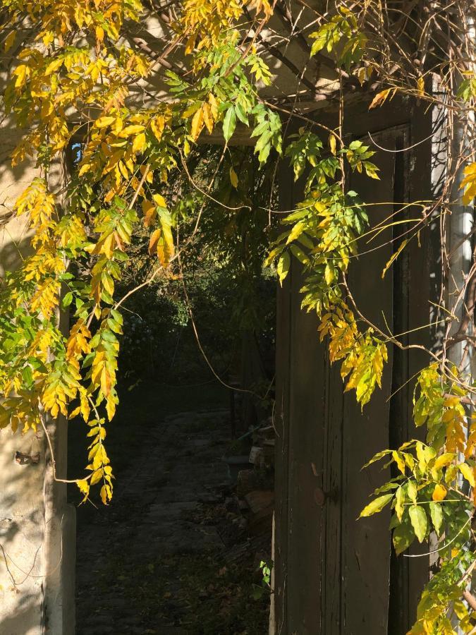 Les Ecuries Du Chateau Boissy-Saint-Léger Екстериор снимка