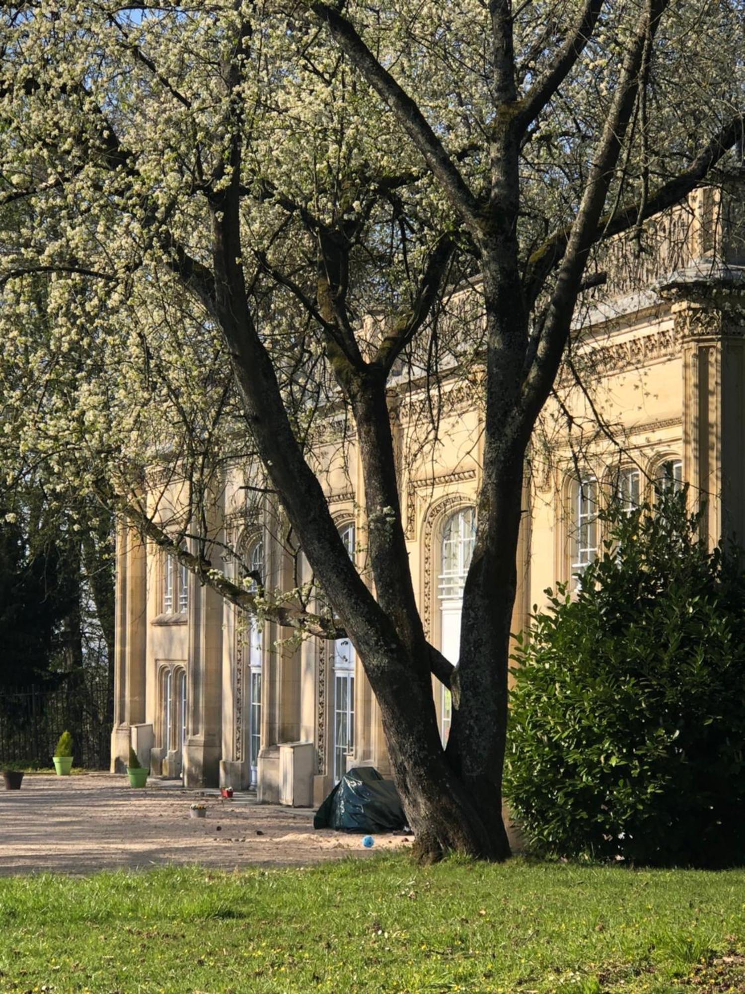 Les Ecuries Du Chateau Boissy-Saint-Léger Екстериор снимка